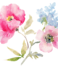 Flower Seeds