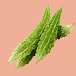 bitter-gourd-krishivya