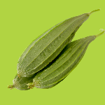 ridge-gourd-krishivya