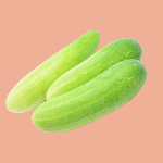 cucumber-krishivya