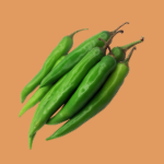 chilli-krishivya
