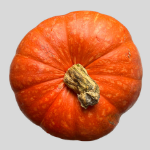 pumpkin-krishivya