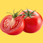 tomato-krishivya