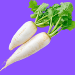 radish-krishivya