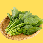 saag-seeds-krishivya