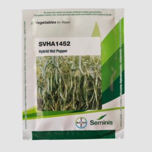 Seminis SVHA 1452 Hybrid Chilli Seeds