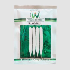Welcome WS 202 Hybrid Radish Seeds