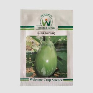 Welcome Purushottama Hybrid Brinjal Seeds