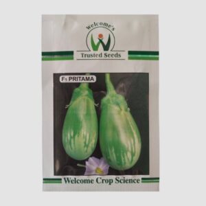 Welcome Pritama Hybrid Brinjal Seeds