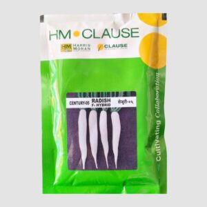 HM Clause Century 05 Hybrid Radish Seeds